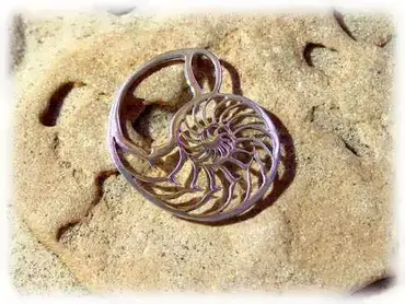 Nautilus Shell Symbol Nautilus Shell Symbol