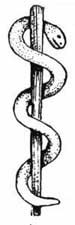 阿斯克勒庇俄斯的魔杖4.jpg (7762 字节)