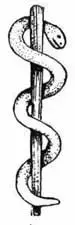 asclepiuswand-4.jpg（7762バイト）