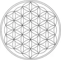 floweroflife2.jpg (16188 bytes)