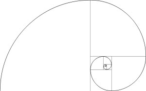 斐波那契螺旋线2.jpg (4682 字节)
