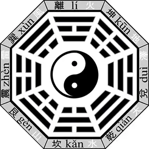 Bagua Bagua