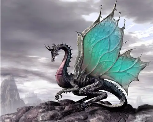 dragon dragon