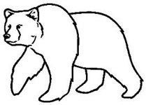 bear symbol