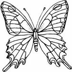 butterfly symbol