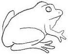 frog symbol