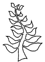 nyame nti symbol