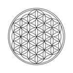 Flower of Life