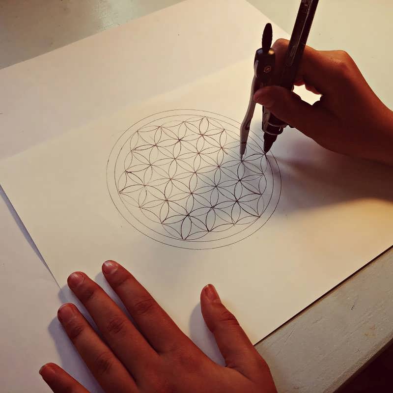 Flower of Life evolution