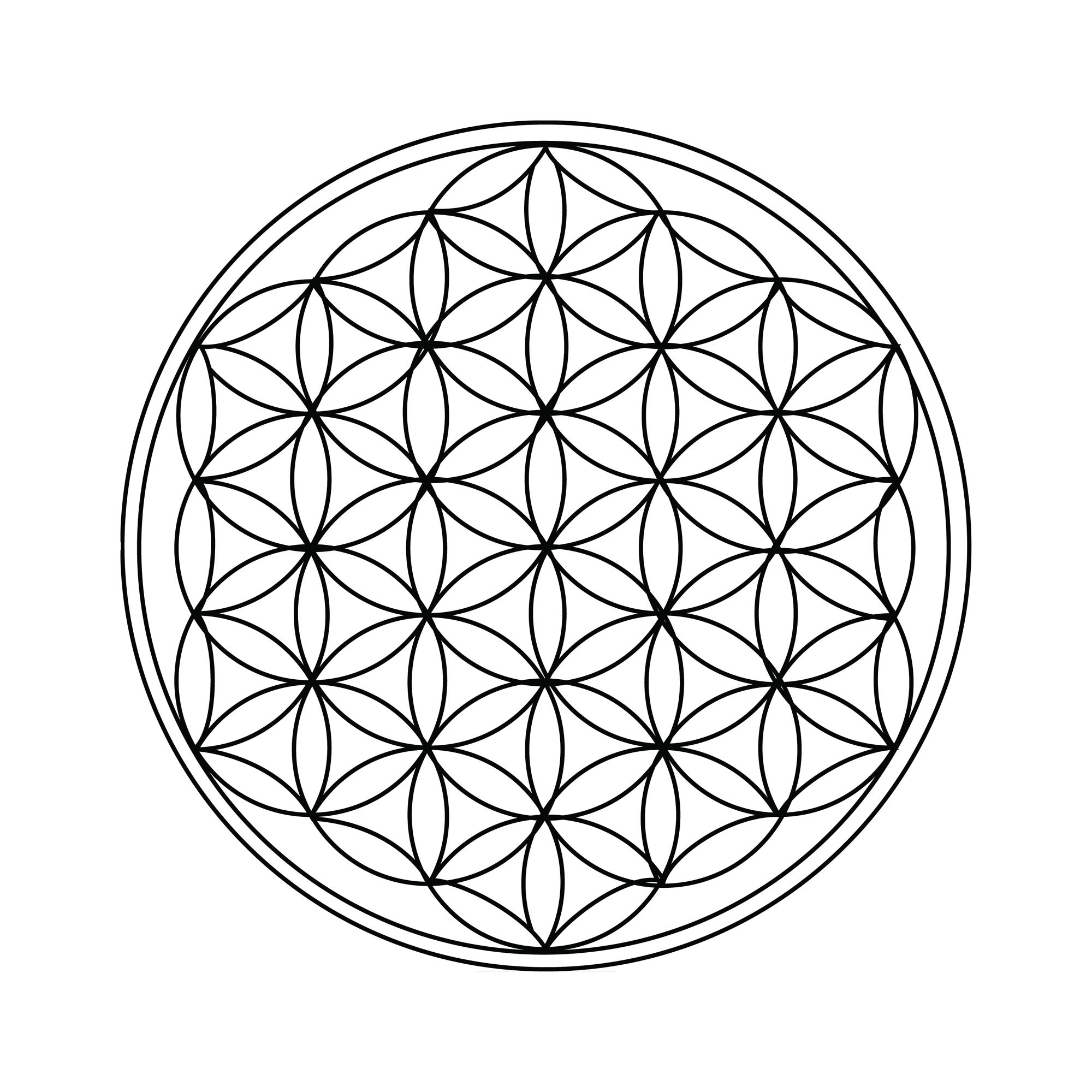 Flower Of Life Symbol