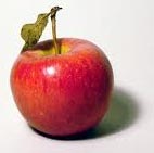 Apfel
