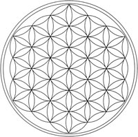 floweroflife2.jpg (16188 bytes)