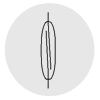 Schilf