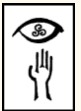 Das Auge und die Hand