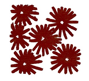 Spinifex