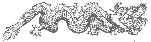 Vietnamesische Drachen