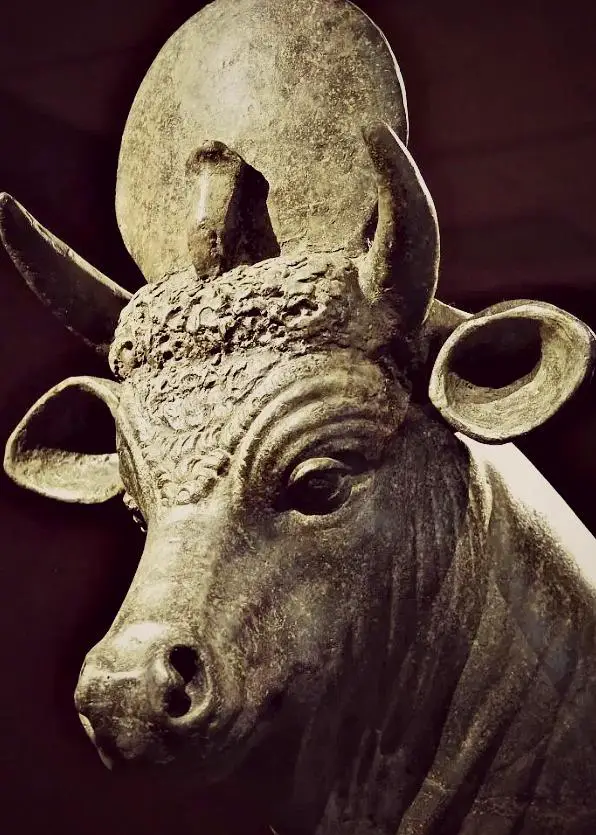 Apis Bull