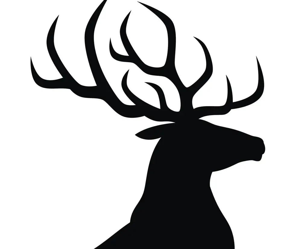 Stag 