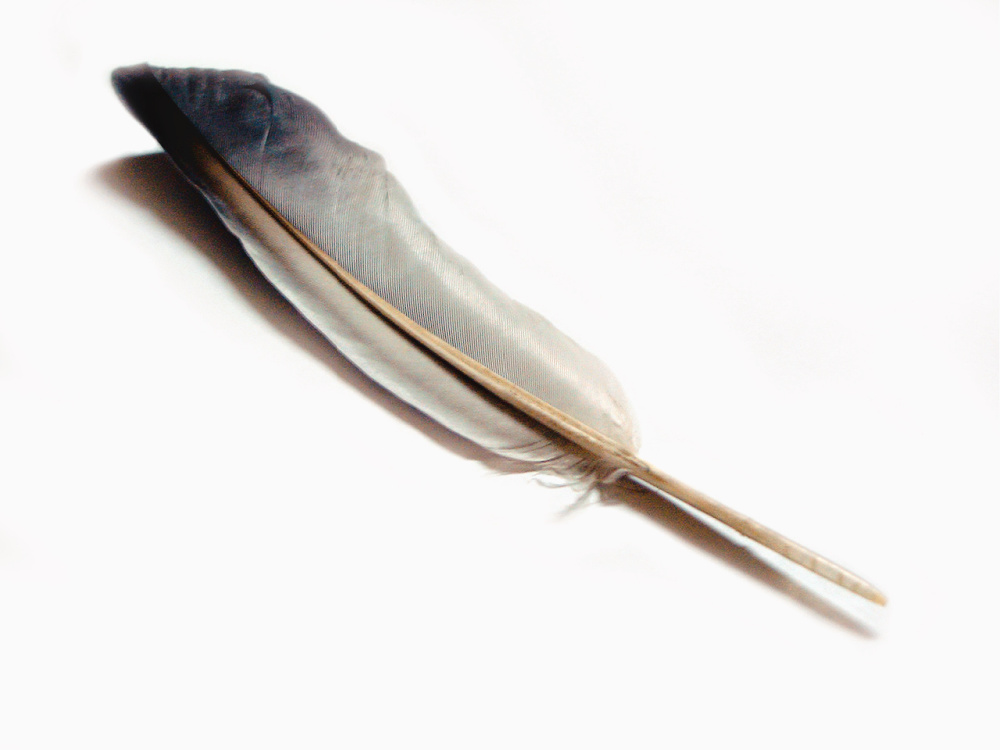 Feather Symbolism