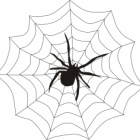 Spider Symbol