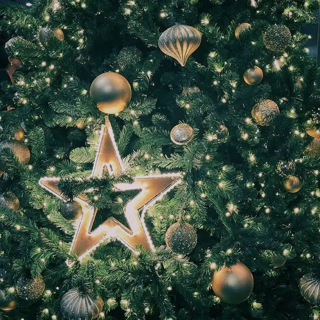 Christmas Star Symbol