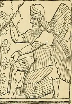 Cherubim